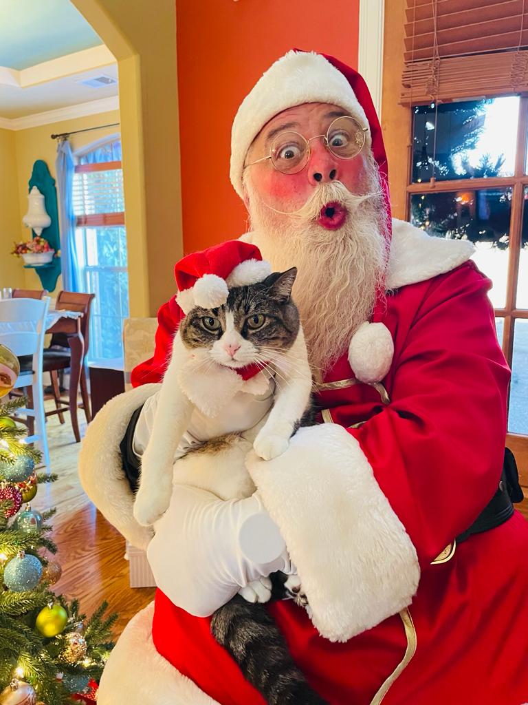 Papai Noel Clovis Segurando uma gatinha branca com cinza
