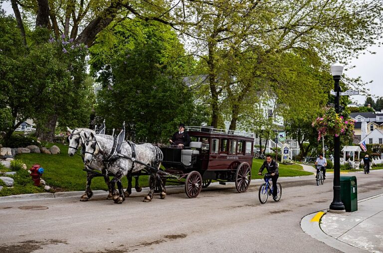 Mackinac - Michigan. Picture of the streets with horse and wagon transport, you can also see a bike.